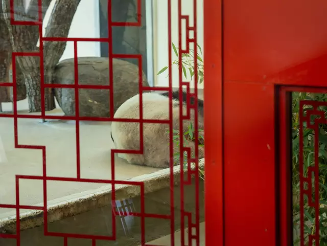 Foto: Valentina Marinelić/MeinBezirk