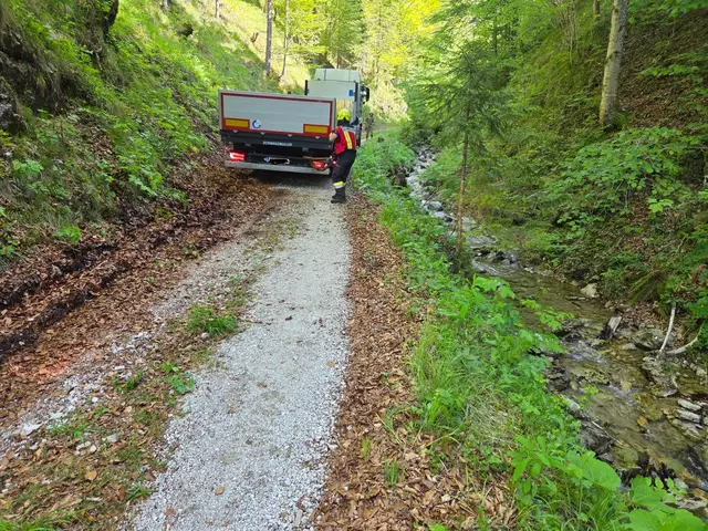 Ein Sattelschlepper verirrte sich im Bezirk Amstetten auf einen Waldweg. Die Feuerwehr St. Georgen/Reith kam zur Hilfe und brachte den Lkw wieder auf den richtigen Weg. | Foto: Bfkdo Amstetten