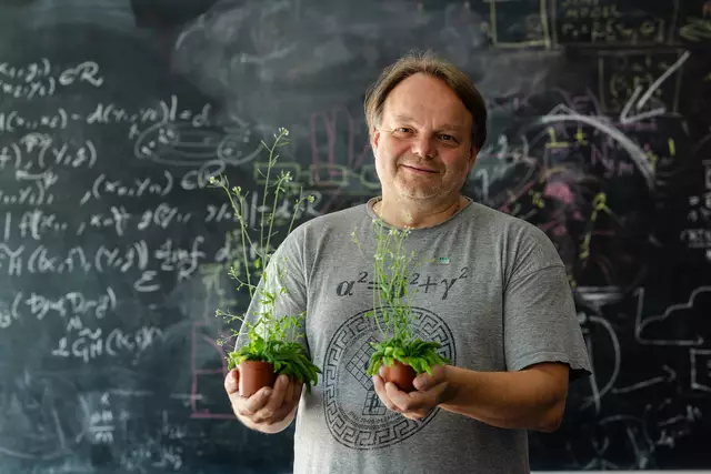 Die Ackerschmalwand in Händen. Professor Jiří Friml mit A. thaliana – dem Modellorganismus seiner Forschungsgruppe am ISTA. | Foto: FWF/Luiza Puiu