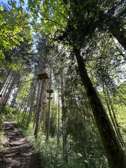 Baumparcours