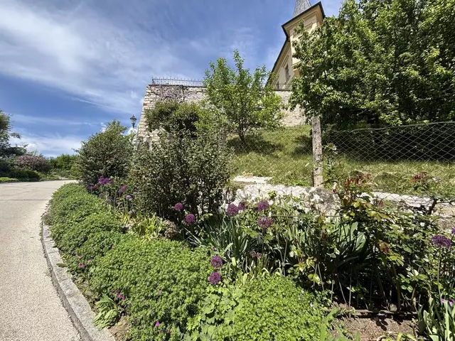 In der Altstadt von Althofen wurde vor fünf Jahren mit der Bepflanzung von Wildstauden begonnen. | Foto: MeinBezirk