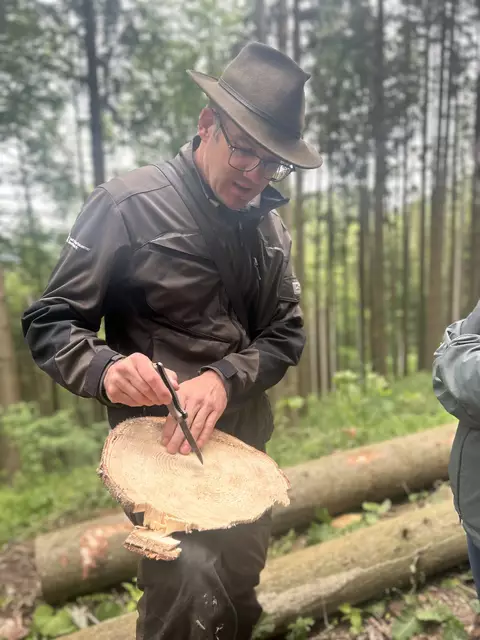 Foto: MeinBezirk/Auer