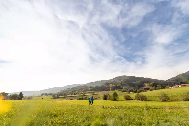 Wandern im Yspertal | Foto: Verein Lebensweg