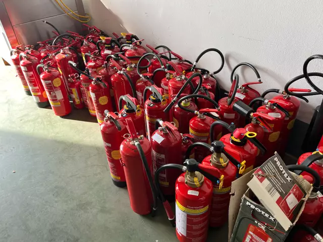 Erfolgreiche Überprüfungsaktion | Foto: FF Waidhofen/Thaya