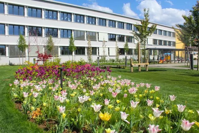 Die farbliche Gestaltung orientierte sich an klassischen Musikstücken. | Foto: Private