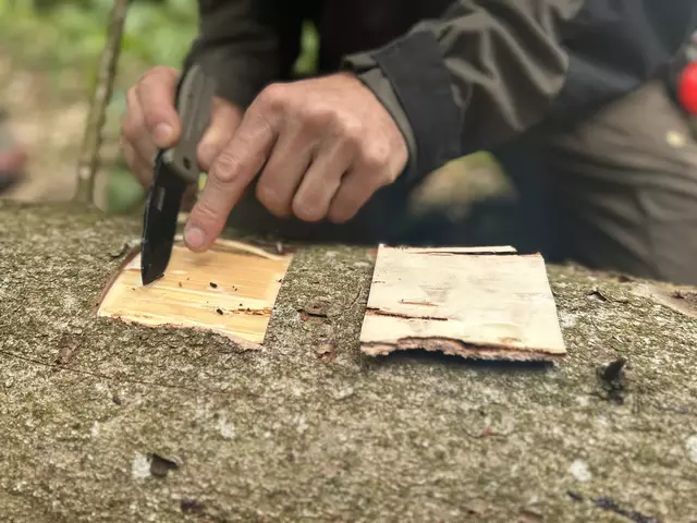 Foto: MeinBezirk/Auer