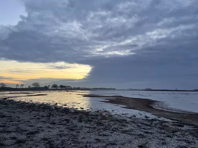 Bis vor ein paar Jahren war der Zicksee ausgetrocknet. Der Wasserstand hat sich seitdem stetig verbessert. Bis gebadet werden kann, muss noch etwas Zeit vergehen. | Foto: Kathrin Santha