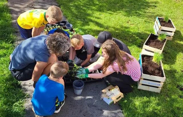 Gemeinsam mit Projektleiterin Birgit Winkler wurden die Kisten von den SchülerInnen bepflanzt.  | Foto: VS Virgen