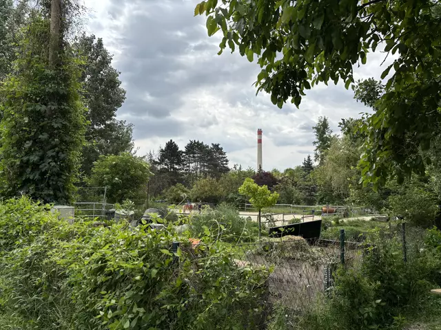 Foto: Luise Schmid/MeinBezirk