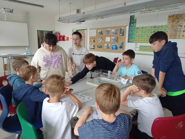 Mooskirchner Mittelschüler und die Kindergartenkinder forschten gemeinsam in der Schule. | Foto: Gößler