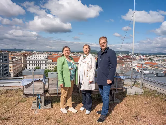 Michaela Winklbauer, Sonja Anic und Harald Pöckl (v.l.n.r.) von der ÖJAB freuen sich über den Einzug der Bienen. | Foto: Valentina Marinelic