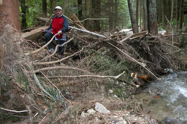 Zwei Fluten, im Mai und Juli 2005, richteten in Pabneukirchen große Schäden an. Forstbach. | Foto: Robert Zinterhof