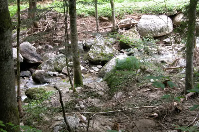 Zwei Fluten, im Mai und Juli 2005, richteten in Pabneukirchen große Schäden an. Forstbach. | Foto: Robert Zinterhof