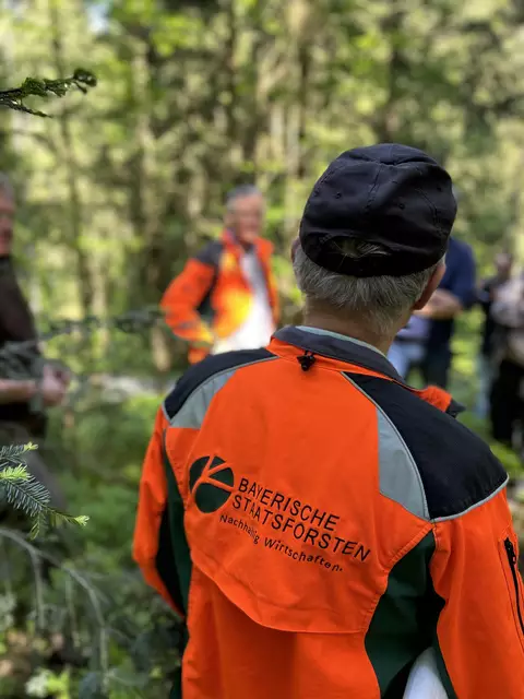 In den Wäldern der Bayerischen Staatsforsten. | Foto: MeinBezirk/Auer