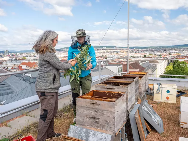 Foto: Valentina Marinelic