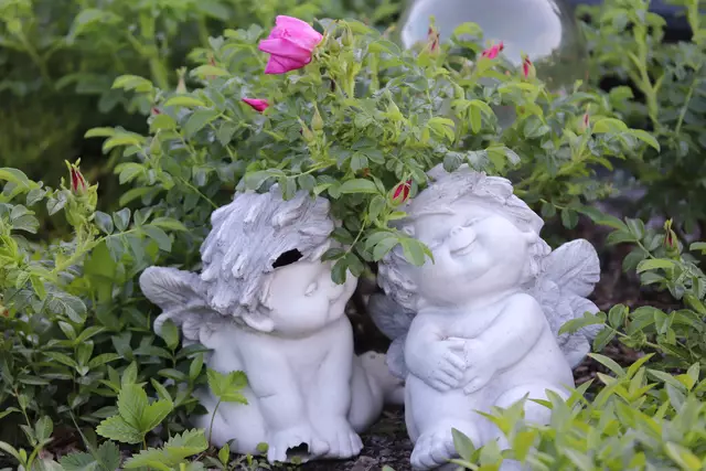 WIR lieben den FRÜHLING🌹