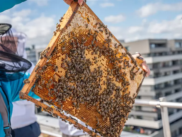 Foto: Valentina Marinelic