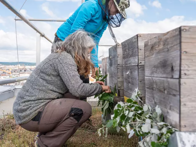 Foto: Valentina Marinelic