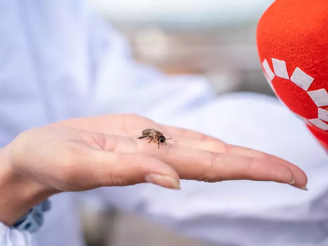 Foto: Valentina Marinelic