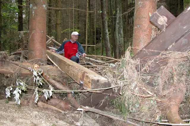 Zwei Fluten, im Mai und Juli 2005, richteten in Pabneukirchen große Schäden an. Forstbach. | Foto: Robert Zinterhof