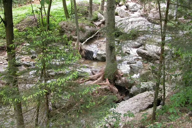 Zwei Fluten, im Mai und Juli 2005, richteten in Pabneukirchen große Schäden an. Forstbach. | Foto: Robert Zinterhof