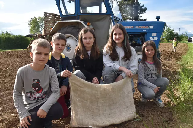 Sandro, Manuel, Amelie, Rosalie und Verena waren fleißig beim Kartoffelpflanzen mit dabei.  | Foto: Michael Strini