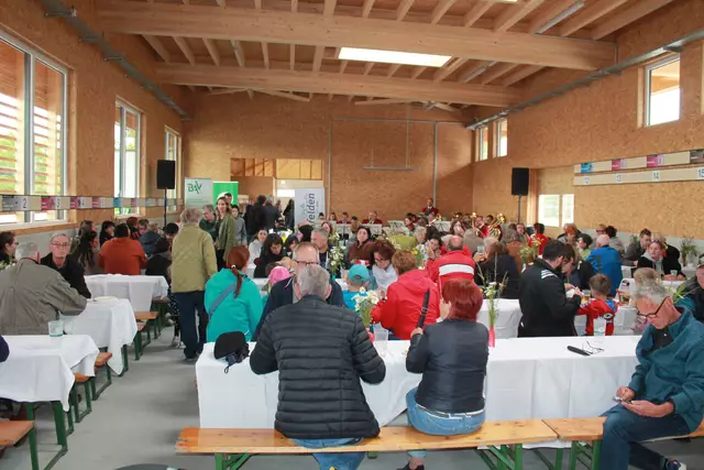 Foto: MeinBezirk Linz-Land