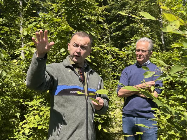 Muhidin Seho (li.) vom Amt für Waldgenetik (AWG) in Bayern mit Kammerdirektor Karl Dietachmair (re.). | Foto: MeinBezirk/Auer