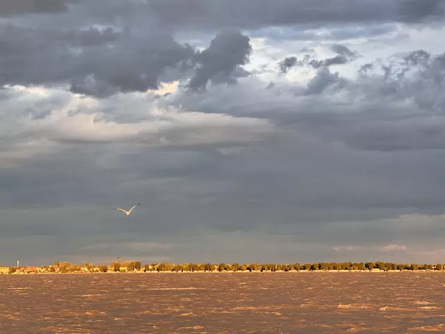 Podersdorf vom Neusiedler See aus, vom Abendlicht beleuchtet | Foto: Andrea Glatzer