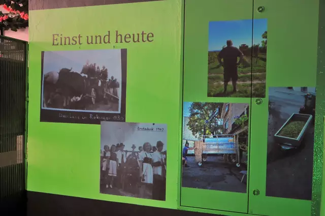 Foto: mamaraZZa photo