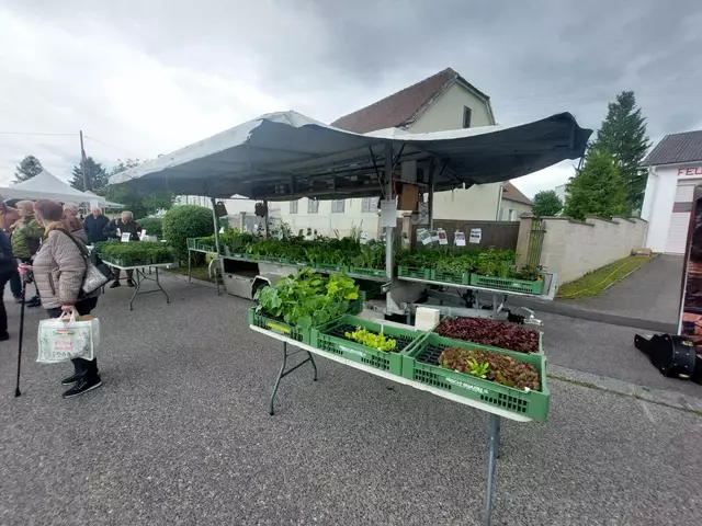 Foto: Michaela Kalcsics