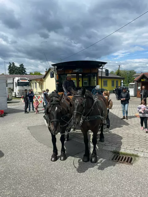 Foto: Bernhard Herics