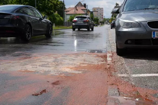 Foto: TEAM FOTOKERSCHI / MARKUS HAUSER