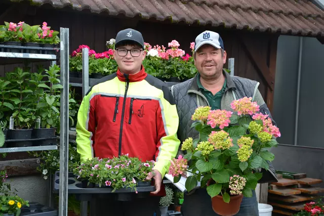 Simon und Martin Pechhacker hatten am Vormittag alle Hände voll zu tun | Foto: A. Fritsch