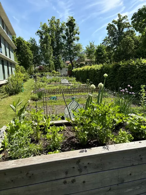 Die Beete im Stadtteilgarten im Süden der Stadt.  | Foto: Lisa Gold