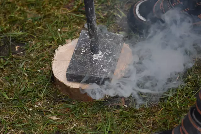 Foto: Julia Perktold