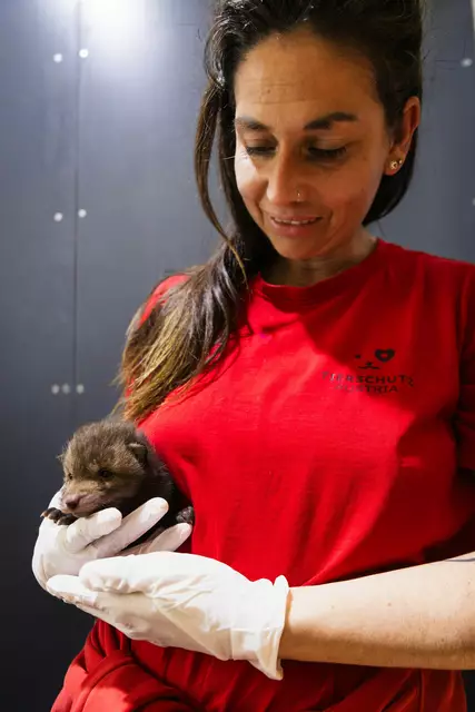 Foto: Alon Mekin/Tierschutz Austria