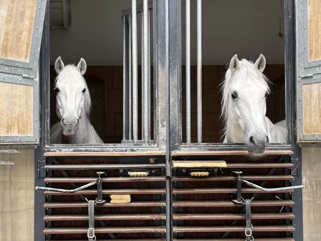 Foto: Andreas Pölzl/MeinBezirk