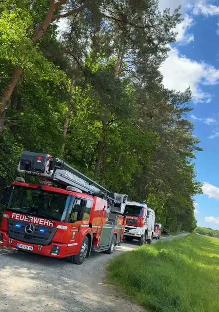 Insgesamt 35 Feuerwehrkameraden rückten zur aufwendigen Rettungsaktion nach Punitz aus.  | Foto: BFKDO Güssing