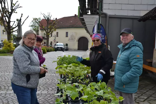 Brigitte Singraber und Helene Zargler decken sich bei Elisabeth und Rudolf mit neuem Pflänzchen ein | Foto: A. Fritsch