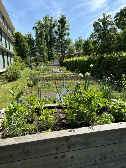 Die Beete im Stadtteilgarten im Süden der Stadt.  | Foto: Lisa Gold