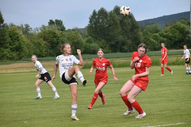 Trotz guter Leistung gab es für Lena Anderhuber und Co. keinen Punkt gegen die Wildcats Juniors. | Foto: Michael Strini