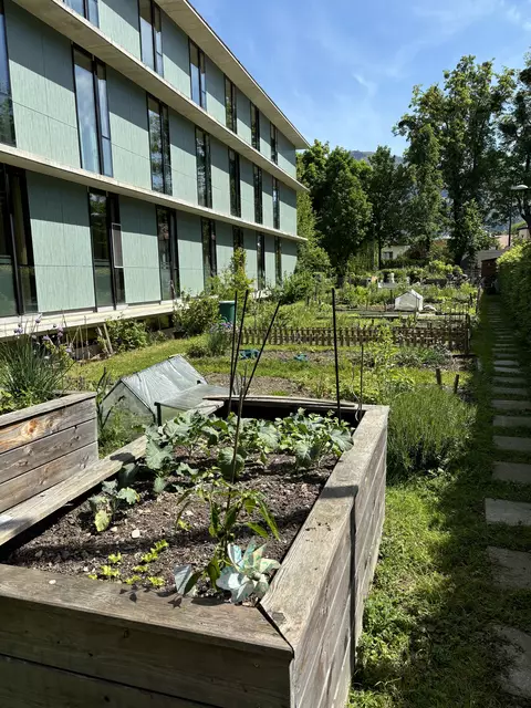 Die Beete im Stadtteilgarten im Süden der Stadt.  | Foto: Lisa Gold