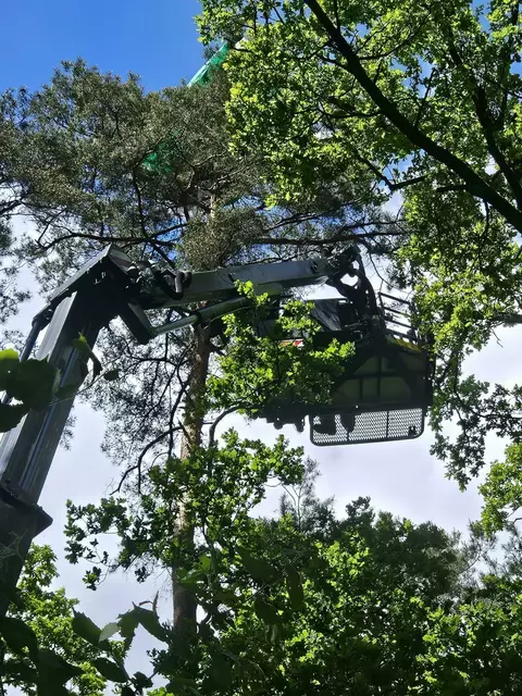 Foto: BFKDO Güssing