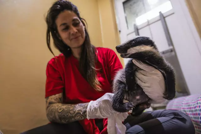 Foto: Alon Mekin/Tierschutz Austria