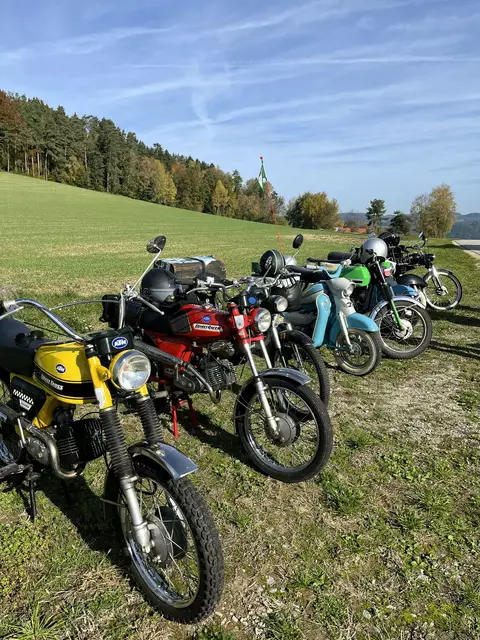 "Echte Mopeds mit Charakter" - do sehen die Puchidos ihre Schätze. | Foto: Puchidos