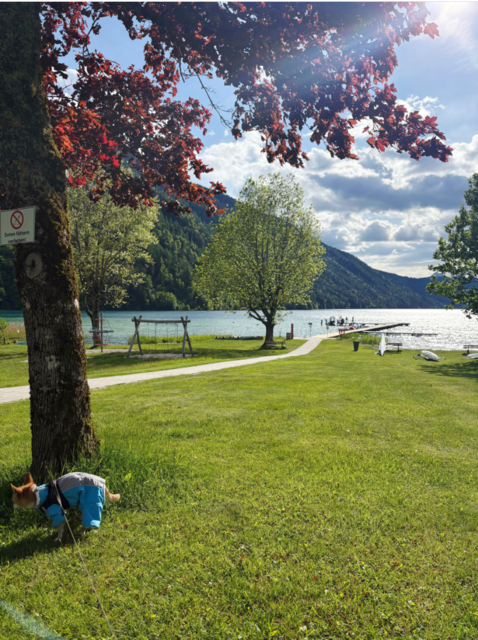 Der Ausblick und der See sind wirklich atemberaubend schön. | Foto: Privat