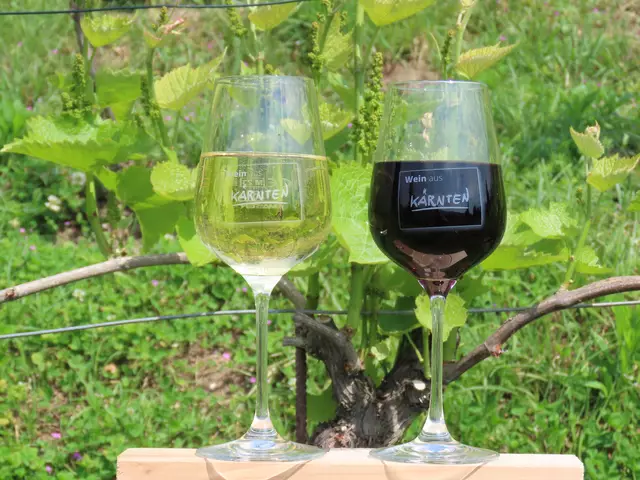 Wein: Die Winzer produzieren Weiß- und Rotweine, die immer wieder prämiert werden. | Foto: Privat