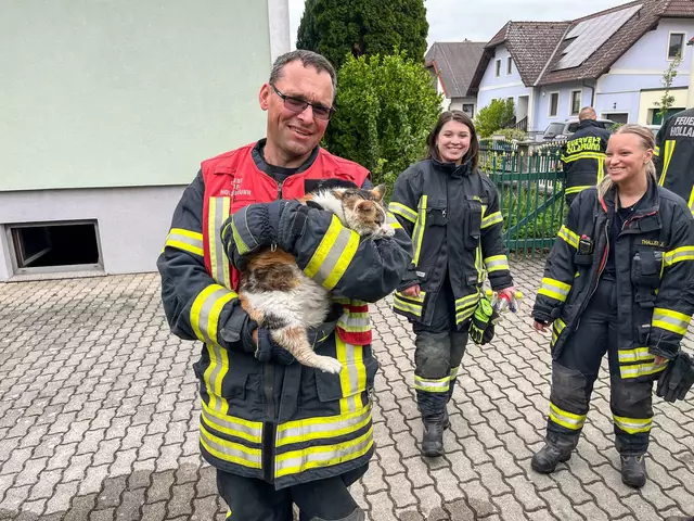 Eine Katze konnte aus dem verrauchten Keller gerettet werden. | Foto: BFKDO Hollabrunn