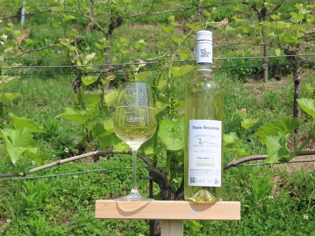 Beliandrum – der Wein aus St. Ulrich trägt den einstigen Namen von Feldkirchen. | Foto: Privat